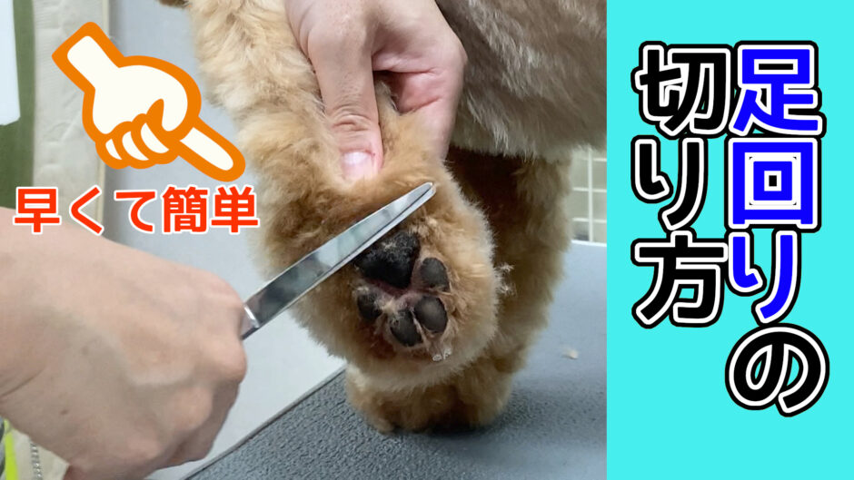 足回りの切り方 一般犬種 Trimmer Talk